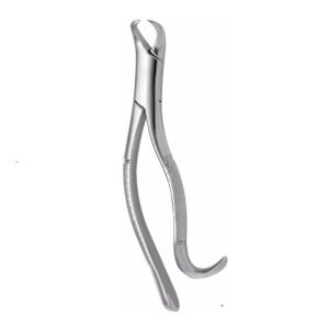 Extraction Forceps American Pattern